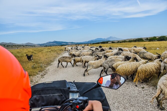 ATV Dinara Mountain tour with picnic - What the $99.21 price really covers