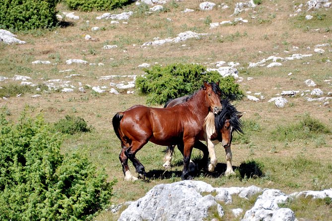 Biokovo Skywalk - The Sinjal walk at 1,333 meters