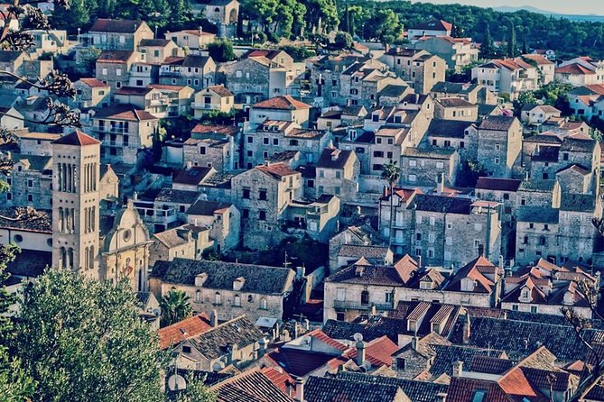 Blue Cave and Hvar island - five island tour from Split - Budikovac Island and the lagoon stop