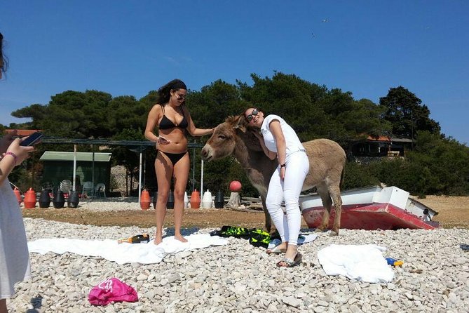 Blue Cave, Hvar and Five islands - Small-Group Tour From Split - Blue Lagoon and Krknjasi Bay for swimming