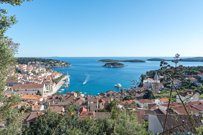 Boat Private Day Tour to Hvar and Pakleni Islands from Split - Palmižana and the Pakleni Islands