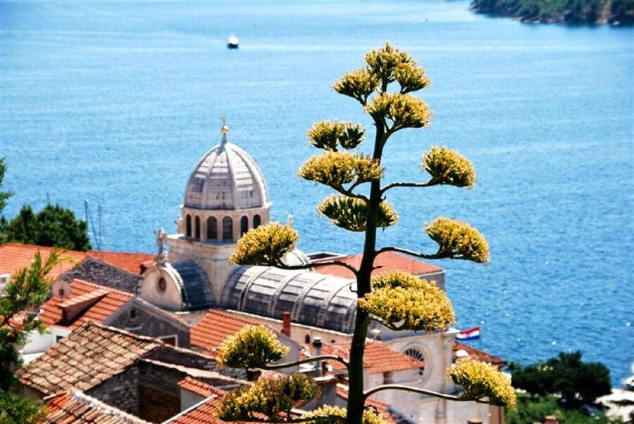 Dalmatian Delights: Food & Wine Tour from Split or Trogir - What arrives at the Dalmatian dinner table