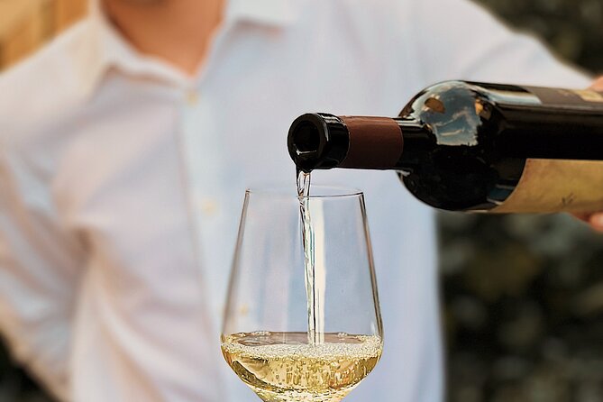 Dalmatian wine tasting by Bottiglia wine & deli - A terrace above the tennis club