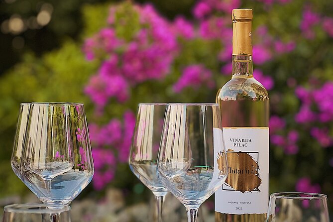 Dalmatian wine tasting by Bottiglia wine & deli - Is $54.07 a fair price?