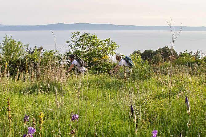 E-Bike Tour at Historical Villages of Makarska - Gornje Tučepi and the Snack Break