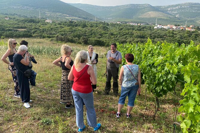 Family-run Vineyard Tour & Award Winning Wine Tasting/Delicacies - A family vineyard outside Trogir