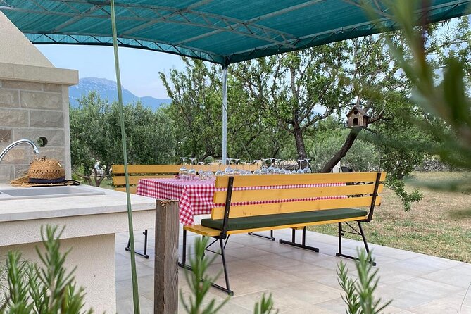 Family-run Vineyard Tour & Award Winning Wine Tasting/Delicacies - Timing, meeting point, and cancellation