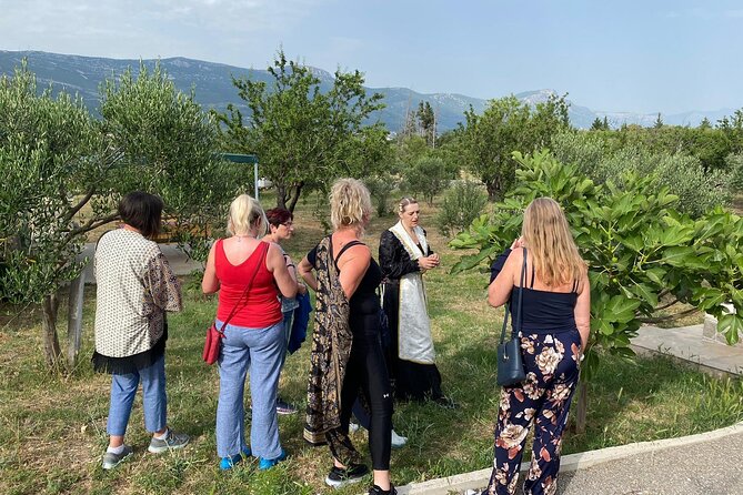 Family-run Vineyard Tour & Award Winning Wine Tasting/Delicacies - Walking through olives, almonds, and vines