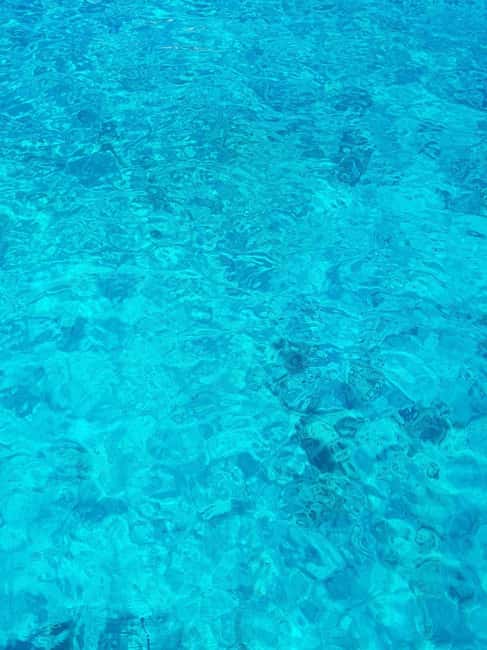 From Hvar: Blue cave group speedboat tour full day - Palmižana is the tour’s breathing space