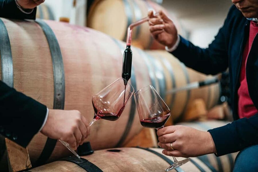 From Makarska : Wine Tasting Grabovac Tour - Who will enjoy this tour most