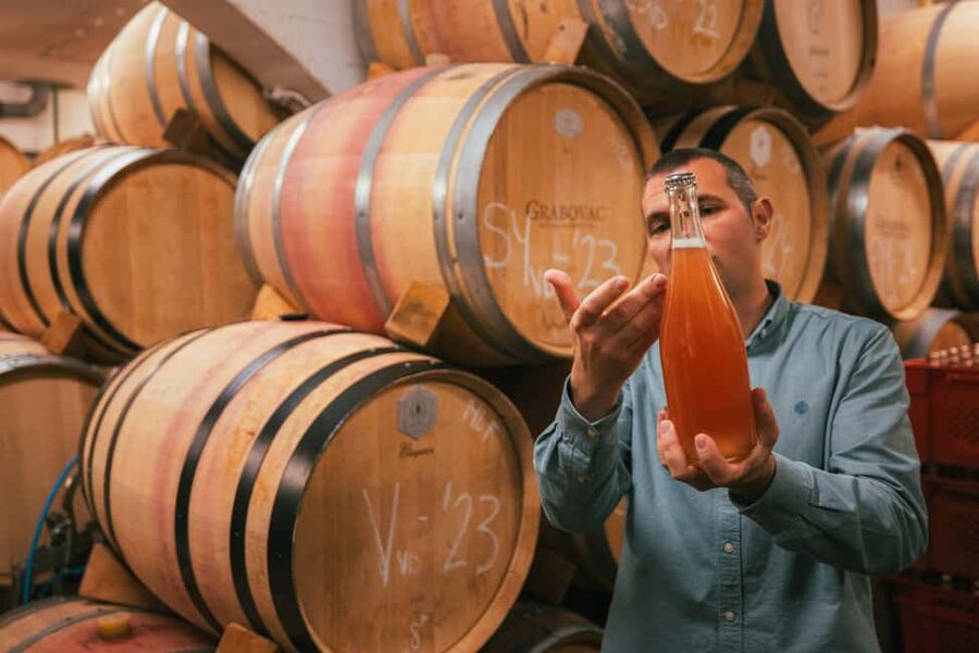 From Makarska : Wine Tasting Grabovac Tour - Two and a half hours at Grabovac Winery