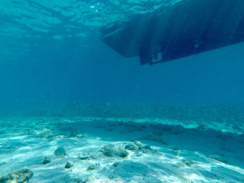 From Split: Blue Lagoon & Trogir Boat Trip with Snorkeling - Guide service can make or break a short trip