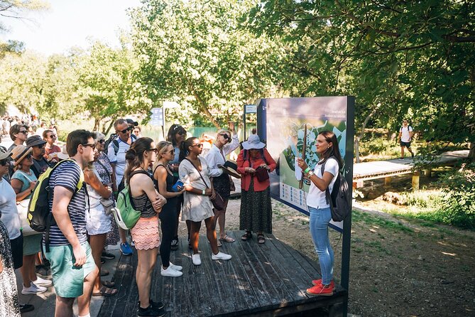 From Split: Krka Waterfalls, Food & Wine Tasting Tour - A family winery in Plastovo