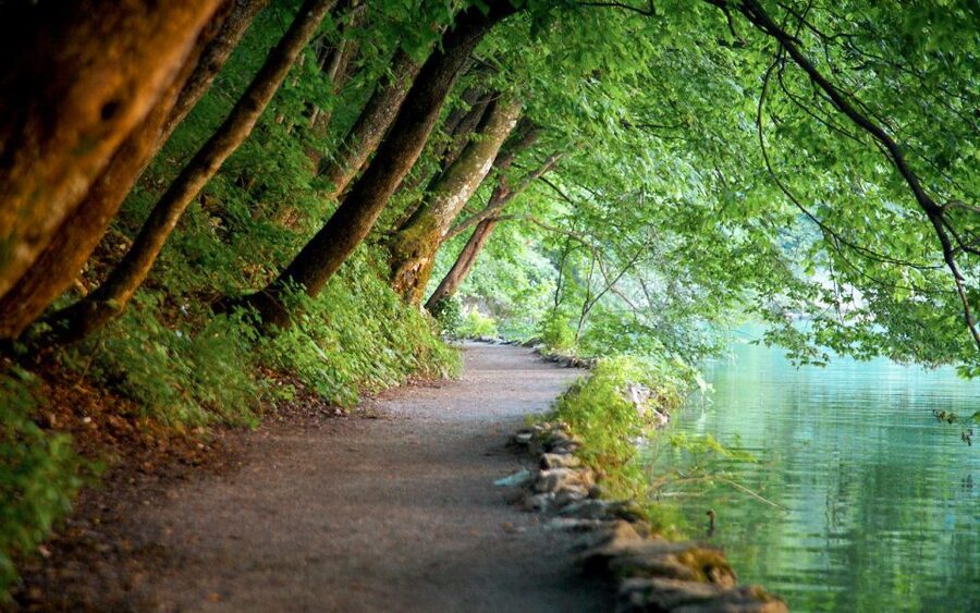 From Split or Trogir: Plitvice Lakes Guided Full-Day Tour - The Road from Trogir or Split