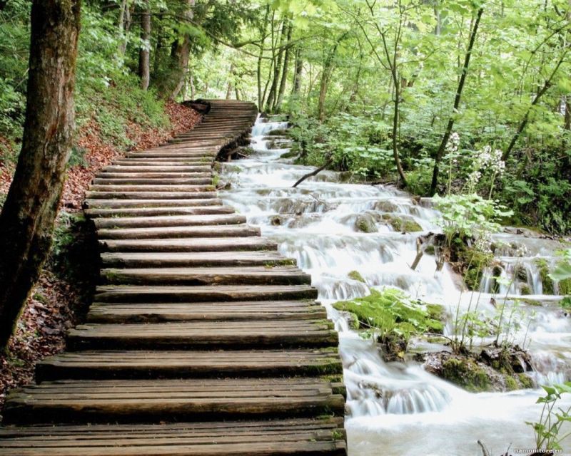 From Split or Trogir: Plitvice Lakes Guided Full-Day Tour - Who Should Book This Plitvice Tour?