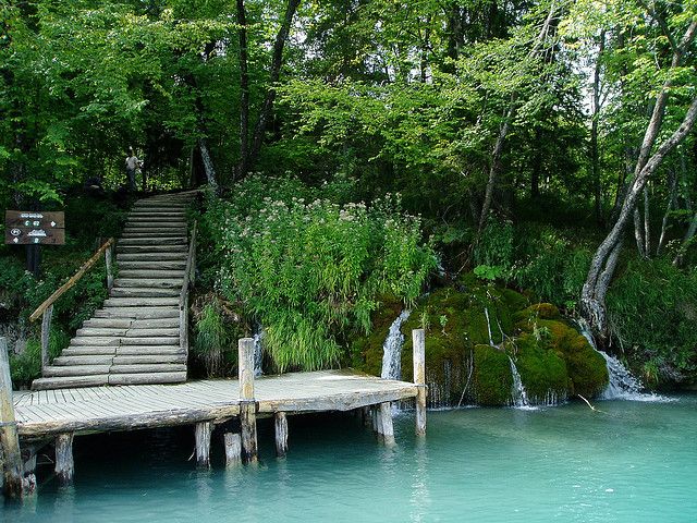From Split or Trogir: Plitvice Lakes Private Tour - Should you book it?