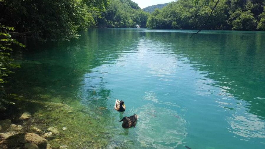 From Split or Trogir: Plitvice Lakes Trip with Entry Ticket - The train ride back to the starting point