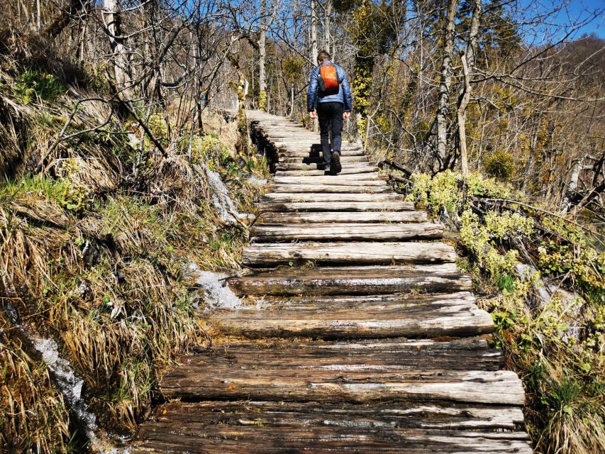 From Split: Plitvice Lakes Full-Day Trip - What the guides add, and where the description is unclear