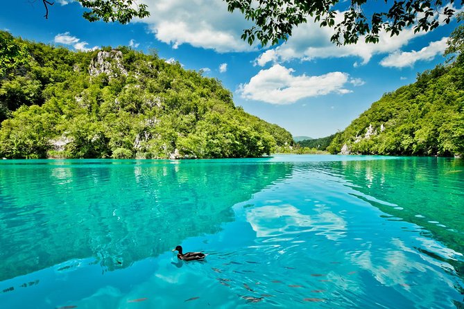 From Split: Plitvice Lakes National Park Guided Tour - The boat ride and electric train
