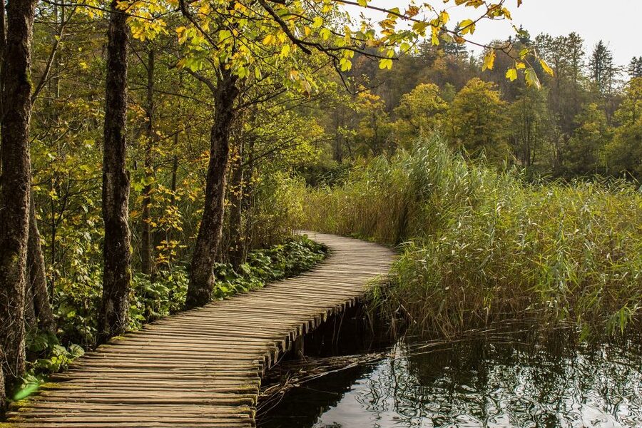 From Split: Private Tour to Plitvice Lakes National Park - Lower lakes, upper lakes, and the walking pace