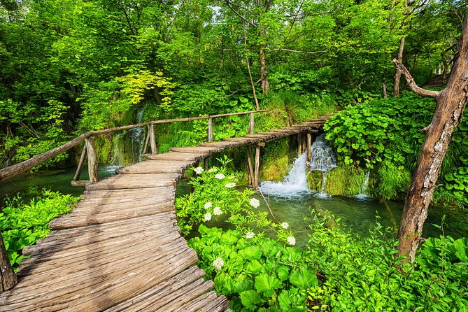 From Split to Zagreb: Plitvice Lakes Private Guided Tour - Your guide shapes the day