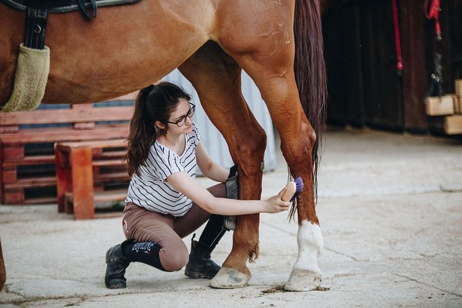 Full day Horse riding & Quad biking - What the small group changes