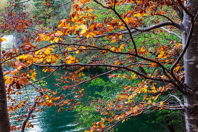 Full-Day Private Plitvice Lakes National Park Tour from Split - Four hours among the Lower Lakes