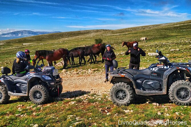 Full-Day Quad and Wild Horses Safari in Livno from Split - Who will enjoy this day most