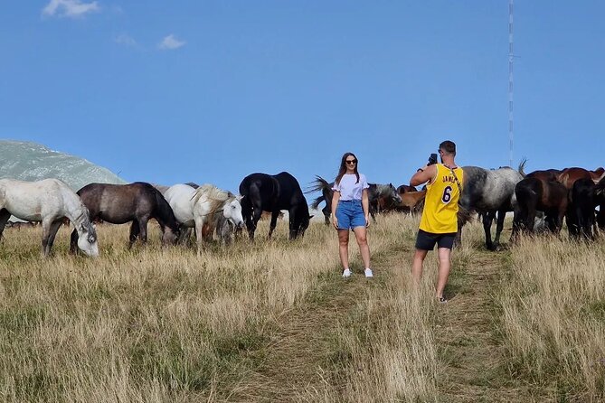 Full-Day Quad and Wild Horses Safari in Livno from Split - Should you book the Livno quad safari?
