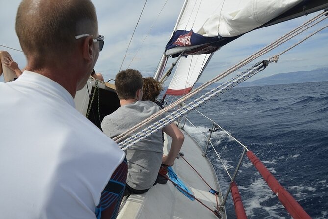 Full-Day Small-Group Dalmatian Coast Sailing Cruise from Split - Solta, Brac, and Ciovo: keep your expectations flexible