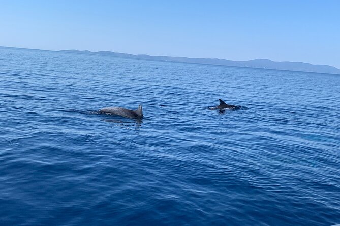 Fully customized private boat trip from Trogir and Split - Brac and lunch in Milna