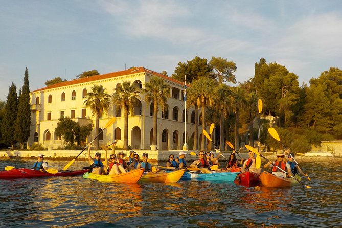 Half-Day Split Sea Kayak Adventure - How the group size affects the experience