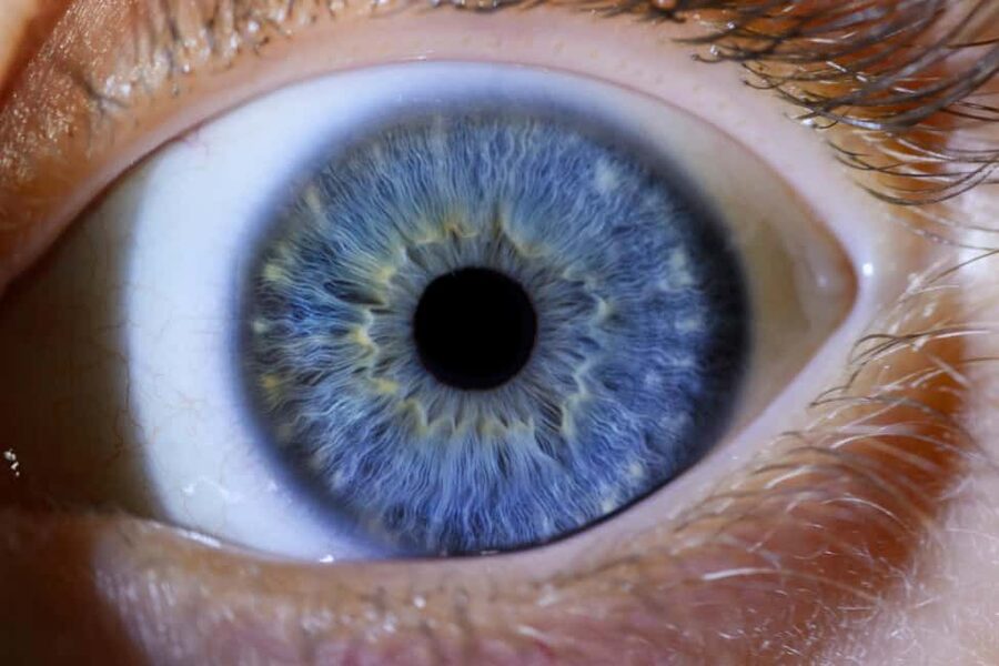 IRIS Photography (macro photo of your eye) - When to fit it into your Split plans