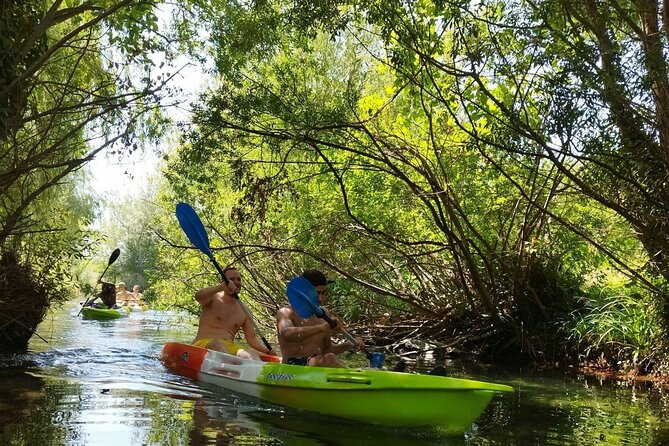 Kayak Adventure in Split - Cliff jumping, swimming, and a clear seabed