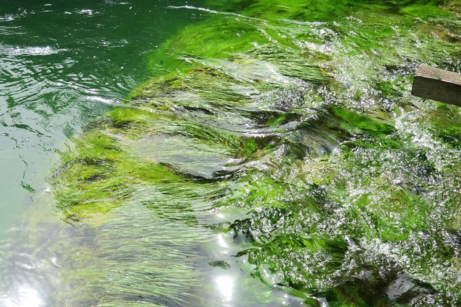 Krka waterfalls luxury tour for singles or couples - A family farm lunch at Agroturizam Anin Dvor