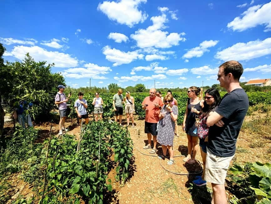 Krka waterfalls tour with lunch from Split - How the timing shapes the day