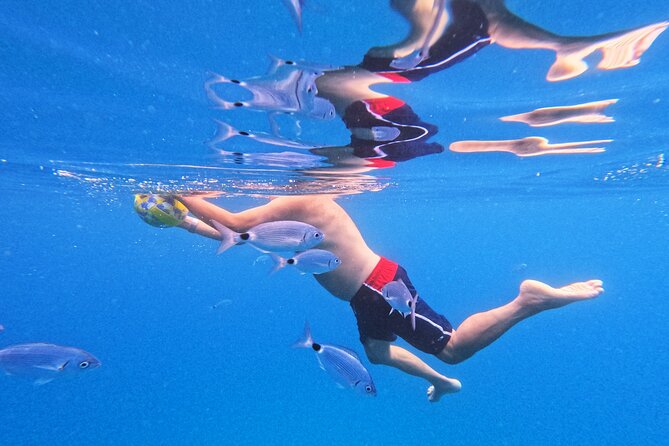 Makarska: 3-Island Speedboat Tour with Cave and Blue Lagoon - Cliff jumping at Mala Stiniva