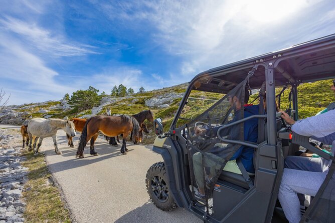 Makarska: Baggy Skywalk & Biokovo viewpoint Tour - Why this is more than a quick Skywalk stop