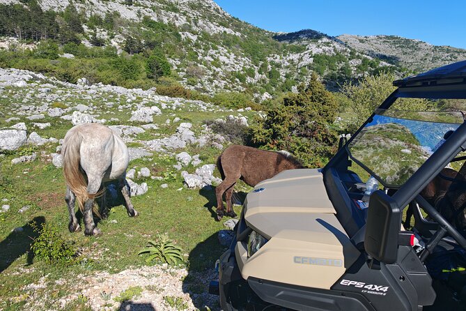 Makarska: Baggy Skywalk & Biokovo viewpoint Tour - The final approach to Croatia’s first Skywalk