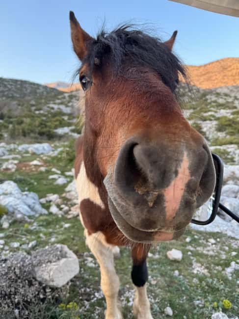 Makarska: Skywalk Tuk-Tuk Tour with Skip-the-Line Ticket - My call: a memorable way to see Biokovo