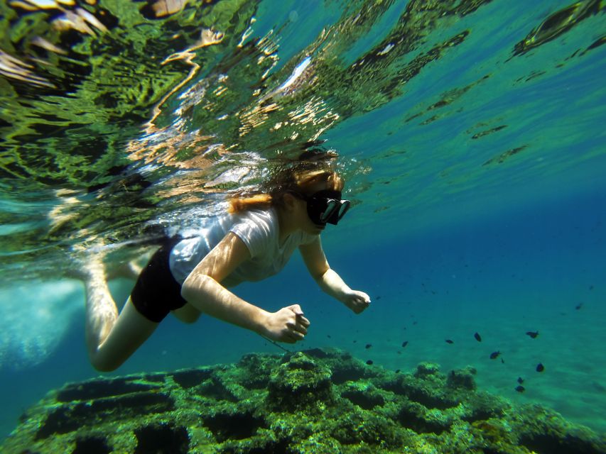 Omiš: Kayaking and Snorkeling Tour - Why this river trip works so well in Omiš