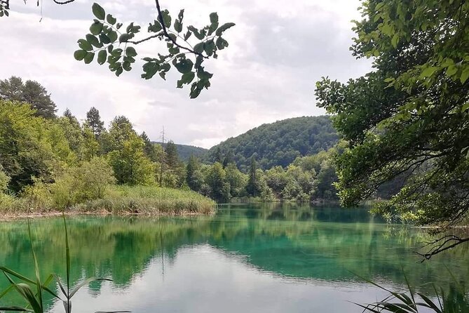 Plitvice Lakes Small Group Tour Ecco from Split or Trogir - What the guides add to the park visit