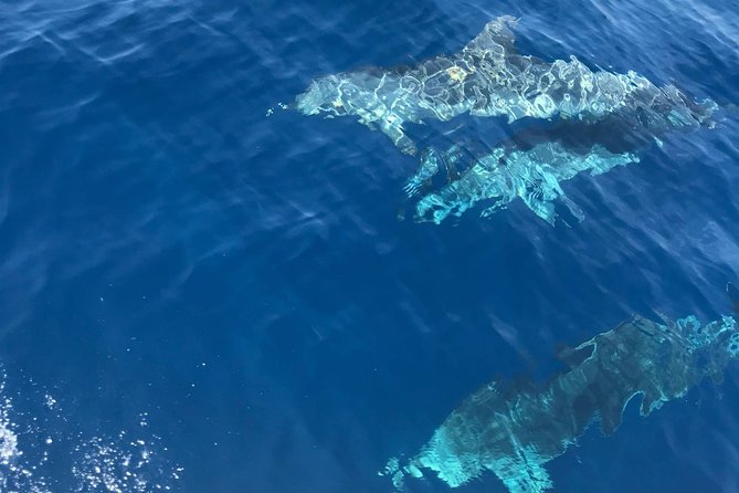 Private Blue Cave and Hvar - 5 Islands Tour - Three hours in Hvar
