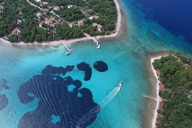 Private Half day Blue Lagoon Tour - Weather, timing, and what to pack