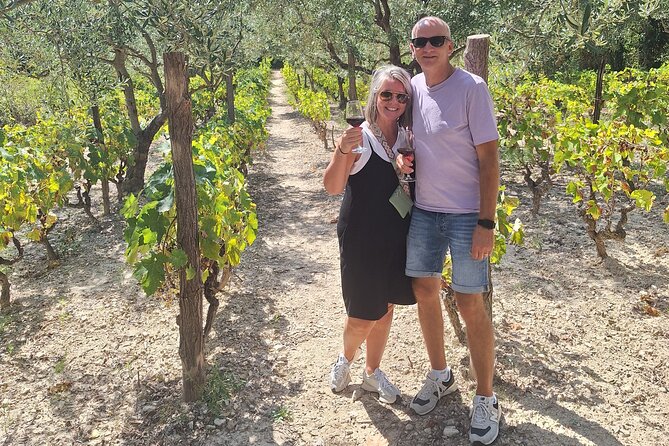 Private Krka Waterfalls Day Trip from Split including Wine Tasting & Lunch - Timing, ticket cost, and what to pack
