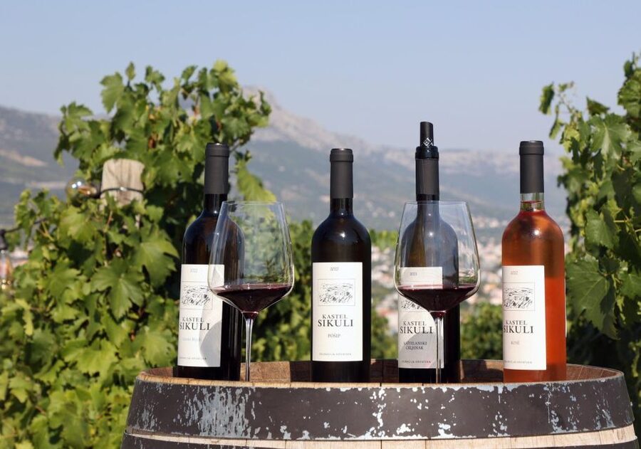 Private Split & Trogir Wine Tasting & Vineyard with Sea View - My call on the value