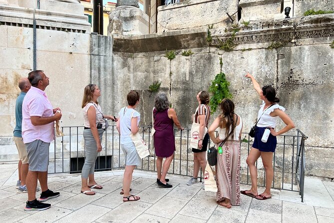 Private Split: Visit Diocletian Palace & Taste Food at the Market - Who will get the most from this experience