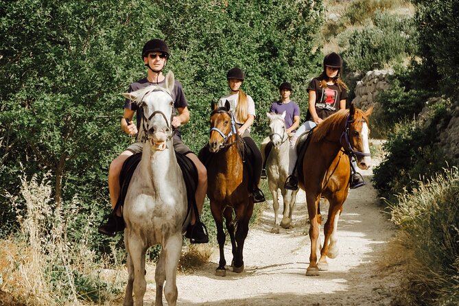 Ranch 22 Podstrana, " Horse riding 12 km from SPLIT " - Homemade wine and snacks back at the ranch