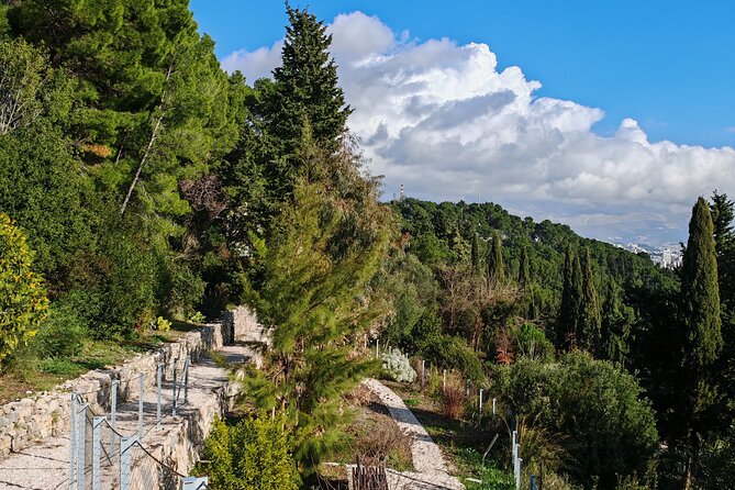 Secret Marjan Park Hiking Tour in Split - Why Marjan Park makes a fine break from central Split