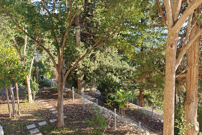 Secret Marjan Park Hiking Tour in Split - What the $60.15 price gets you